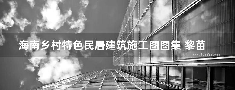 海南乡村特色民居建筑施工图图集 黎苗民居建筑施工图集